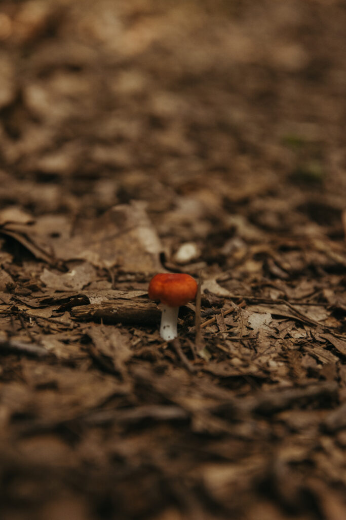 Pic Credit: Callie Alexandria Photography