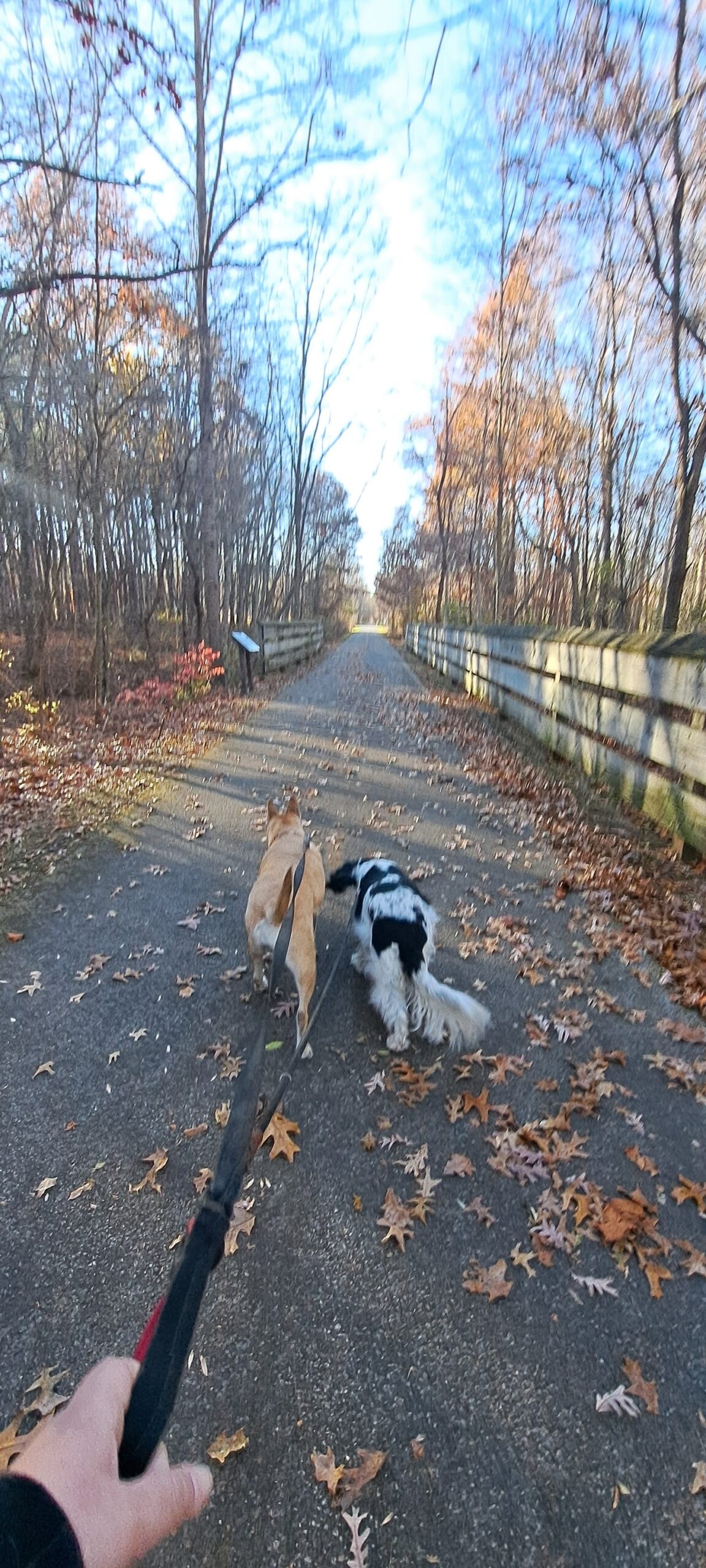 National Hiking Day 2025 🥾